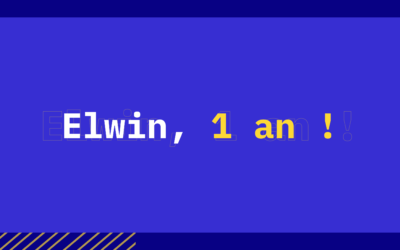 Elwin : 1 an déjà !